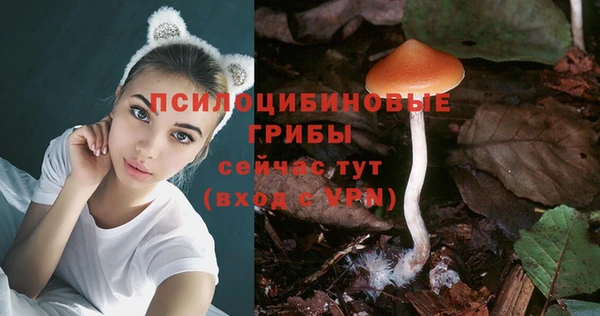 mix Абинск